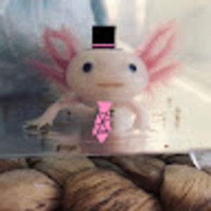 Meet your Posher, Lia